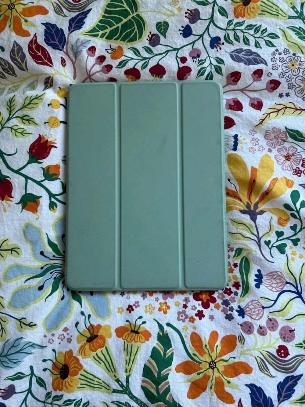 Apple iPad + Green Case